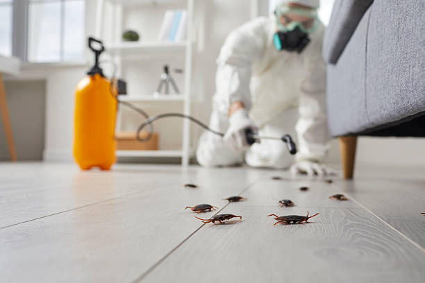 Commercial Kitchen Cockroach Control in Fort Dick