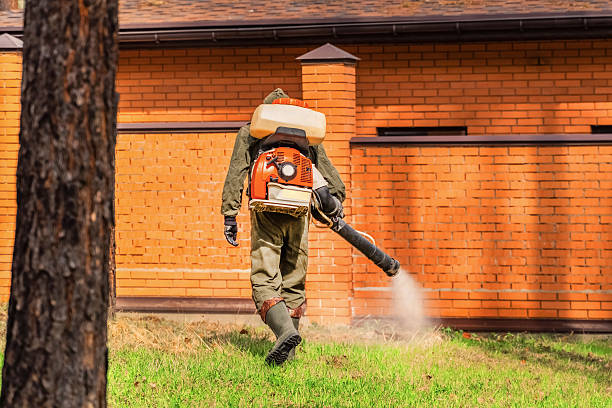 Cockroach Follow-Up and Monitoring in Fort Dick